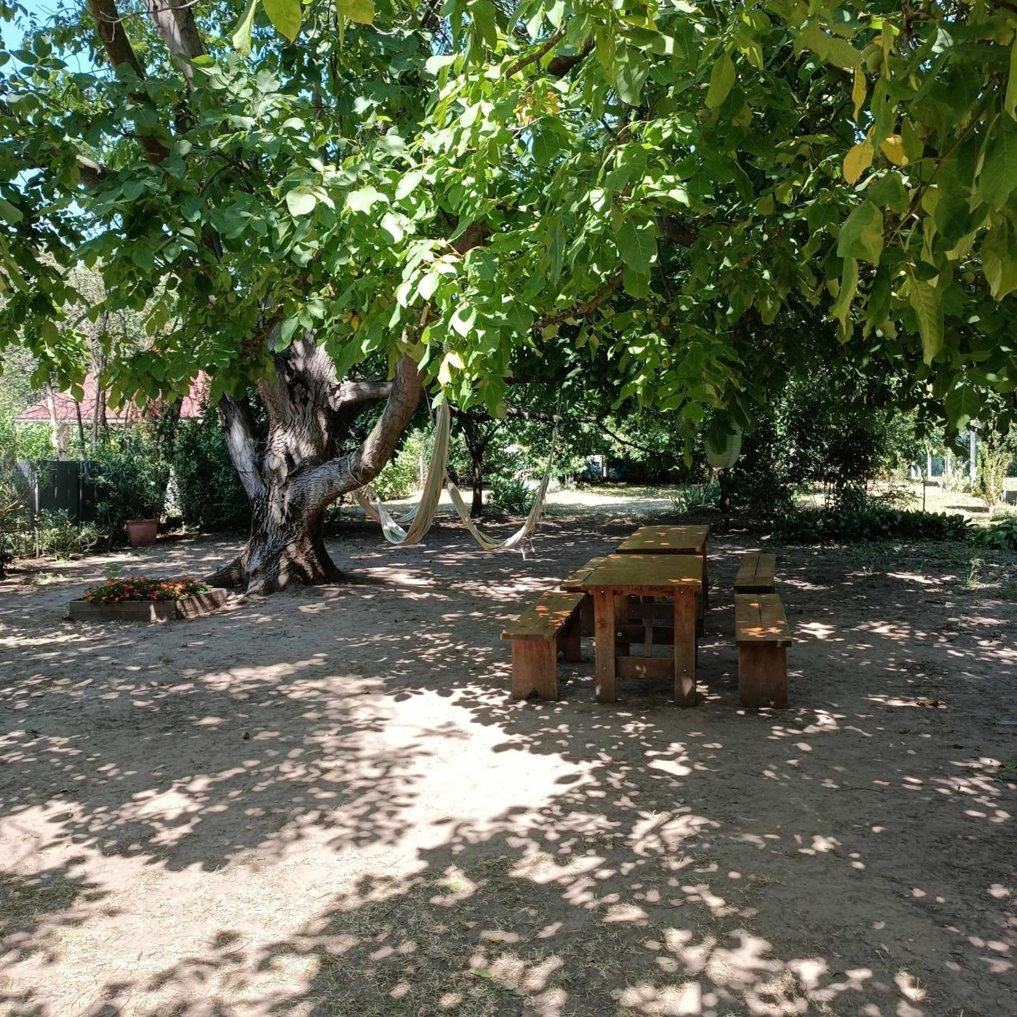 Tuerkiz Apartman - 5 Szobas 13 Fos Apartmanhaz 4Km A Balaton- Balatonszabadi Fürdőtelep Exterior foto